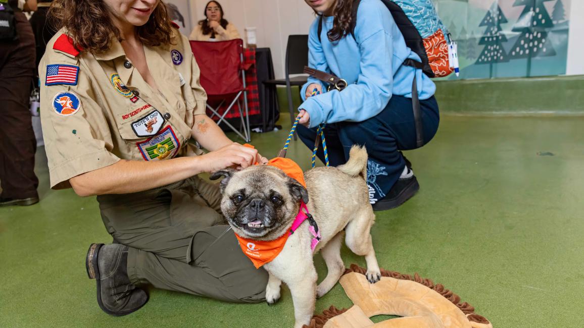A couple adventure buddy program participants with a pug wearing a bandanna