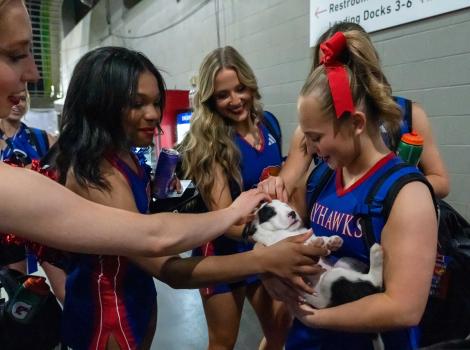 Group of cheerleaders holding a black and white puppy