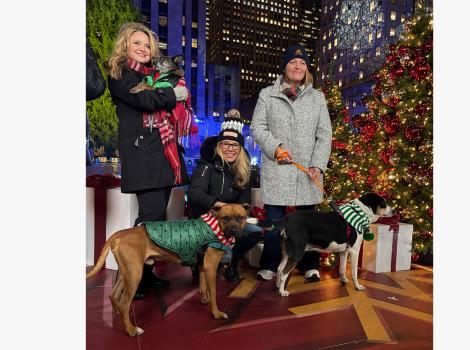 Three people, including Best Friends CEO Julie Castle, with three dogs at New York's Rockefeller Center