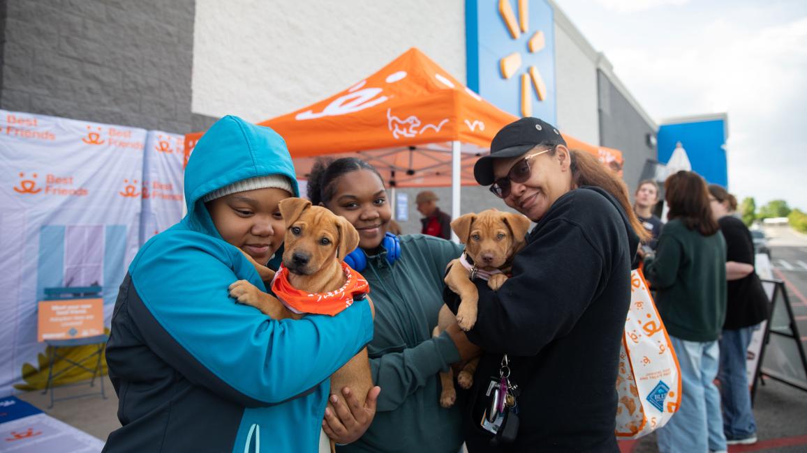 Cloud and Sol the puppies being adopted in front of Walmart