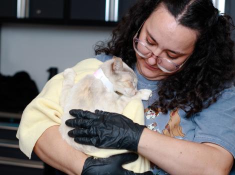 Person cradling a cat in her arms