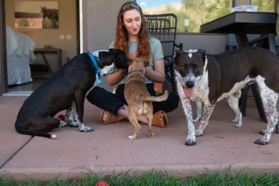 Didgeri and Didgeridoo the dogs with Landon and another small dog outside on a patio