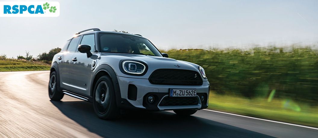 First prize - Mini Countryman Hatch
