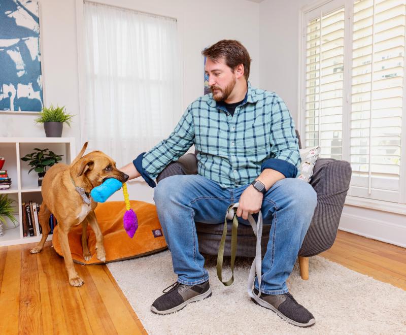 Person playing with a dog in a living room