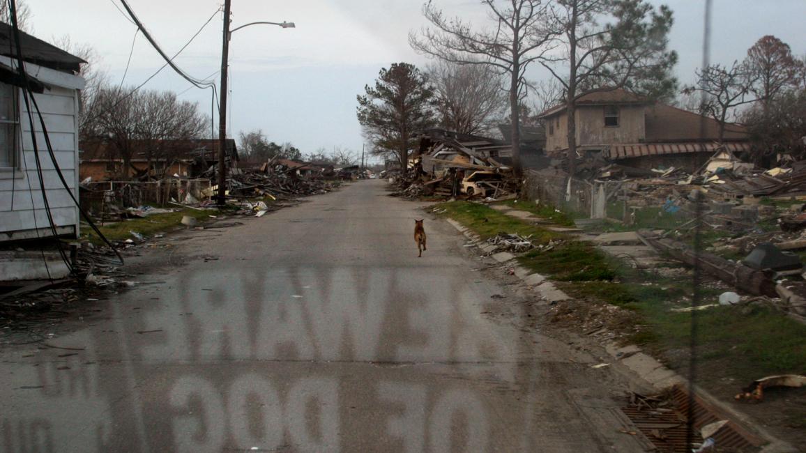 Photo from the perspective of being in a vehicle, with a Beware of Dog sign reflected backwards in the windshield with a dog running in the street surrounded by destroyed houses