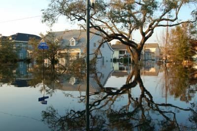 Canal Street building and tree flooded