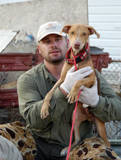 Person wearing a Best Friends hat and protective gloves holding a small brown dog rescued after Hurricane Katrina