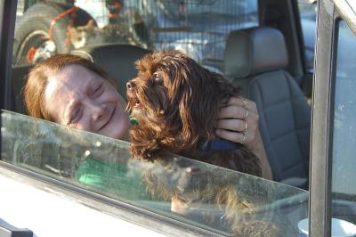 Smiling person holding a brown fluffy dog in a vehicle