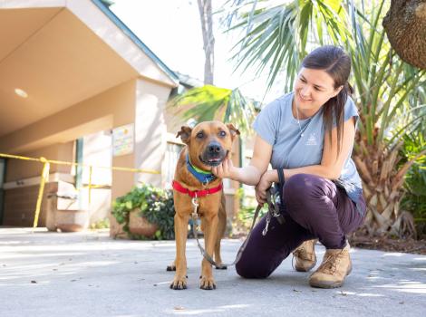 Person with a brown dog outside Pinellas County Animal Services following Hurricane Milton