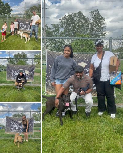 Adoption photos with dogs and people from Indianapolis Animal Care Services