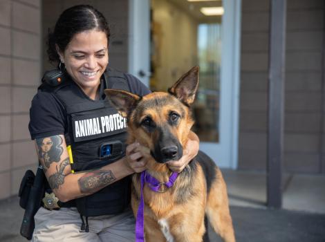 Shepherd dog with a smiling animal control officer