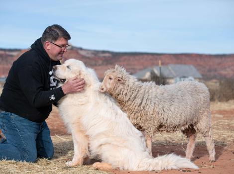 Josie the sheep with Claude the dog and Matt Claflin