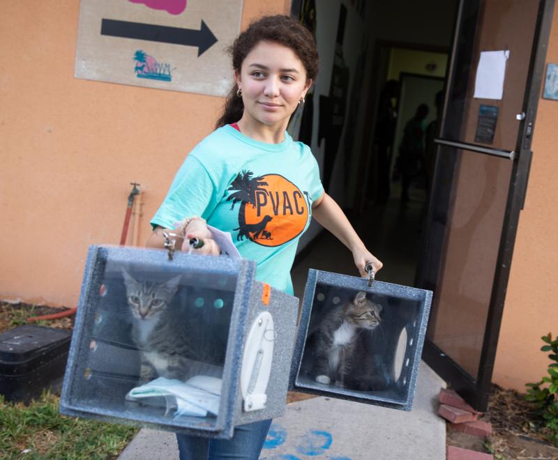 Volunteer carrying two cats in carriers