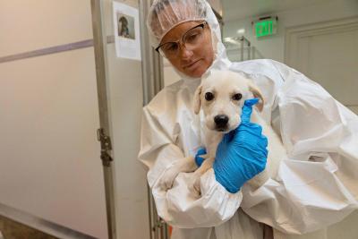 Berry in the parvo treatment room