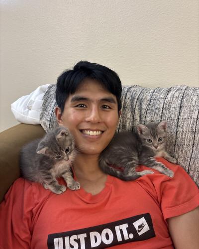 Powder and Match the kittens on the shoulders of their foster