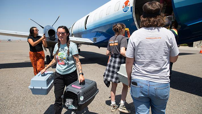 People unloading cats in carriers from an airplane transport following flooding in Texas