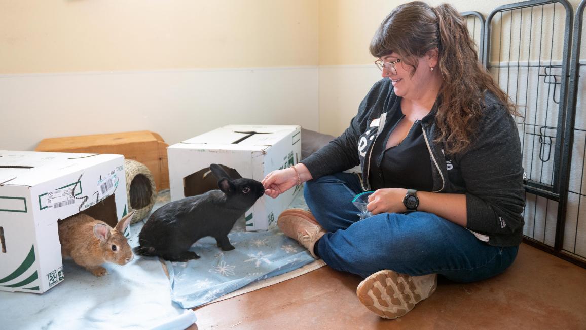 Keala Richter sitting on the ground beside Phoenix and Thumbelina the rabbits