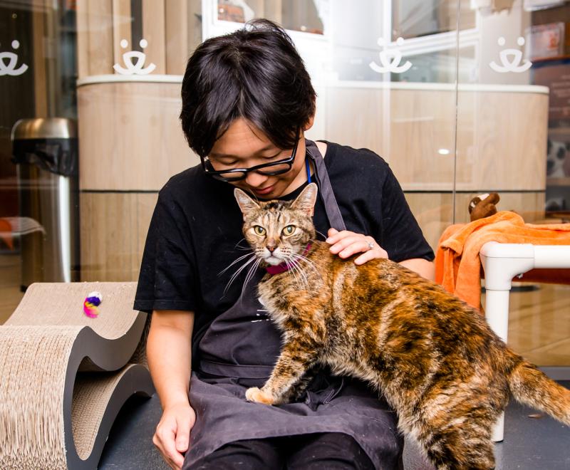 Volunteer holding tabby cat in lap in play area