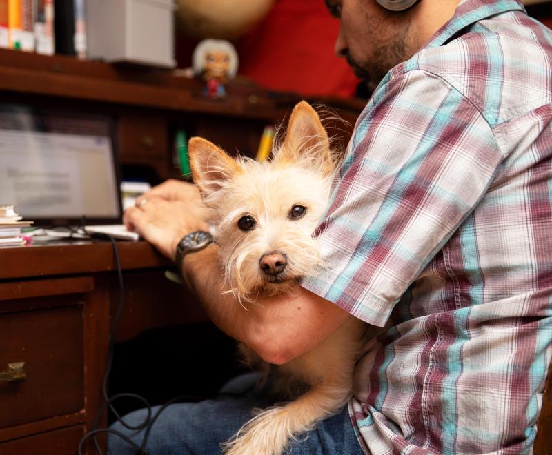 Person working on a laptop computer with a dog in his lap