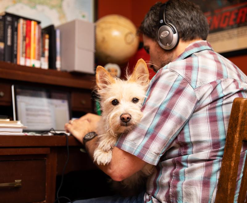 Person wearing headphones and working on a laptop computer with a terrier dog in his lap