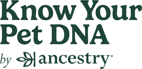 Ancestry logo